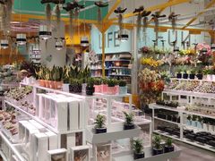 -KKV(深圳宏发大仟里店)