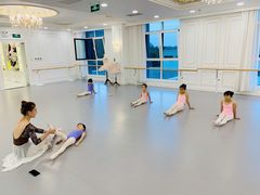 -芭蕾仙子 FairyBallet 少儿芭蕾舞蹈中心(丽都旗舰店)