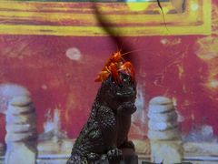 -常州海昌海洋探索馆