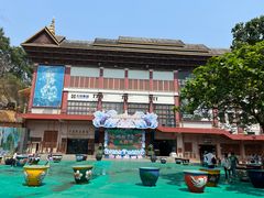 -西双版纳原始森林公园