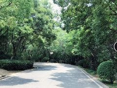 -南京市江宁方山