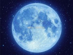 -爽爽王牌甜品(河背村店)