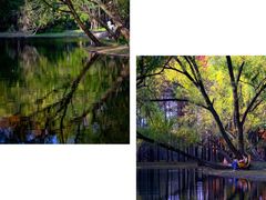 -上海共青森林公园