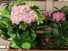 -盆满钵满·国家非遗传承(云台店)
