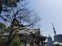 -浅草寺