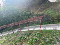 -慕田峪长城