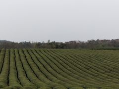 -敬亭山风景名胜区