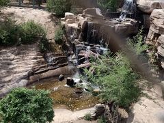 -大青山野生动物园