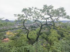 -桂林独秀峰王城景区