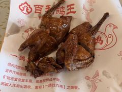 -百利鸽王(紫薇路店)