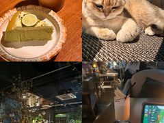 -咖法森林·咖啡  酒吧(天河店)