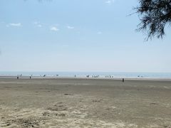 -江山半岛白浪滩景区