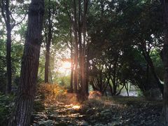 -桂林两江四湖景区