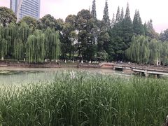 -温江公园