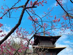 -广富林郊野公园