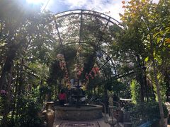 -The Grounds of Alexandria