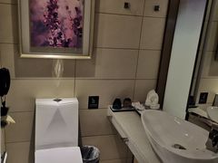 -麗枫酒店(广州同和南方医院南方医科大学店)