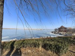 -天津东丽湖风景区