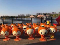 -上海长兴岛郊野公园