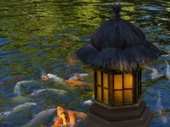 -厦门日月谷温泉渡假村