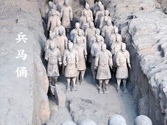 -秦始皇帝陵博物院(兵马俑)