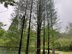 -兰亭风景区
