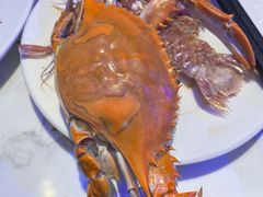 -半岛听涛蒸汽海鲜自助(K11店)