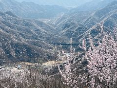 -大岭沟猕猴桃谷风景区
