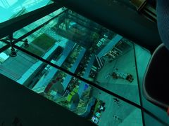 -树厨贵州菜(花果园购物中心店)