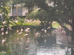 -九龙公园