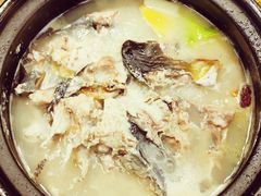 -马帮菜馆·美味野生菌