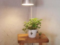 -Babycat私家御饼屋(龙头路一店)