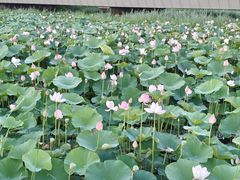 -哈尔滨大剧院