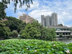 -荔湾湖公园
