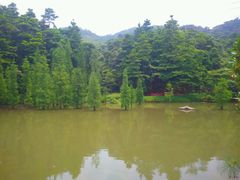 -广州市帽峰山景区