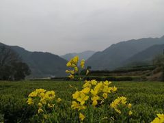 -遂昌金矿国家矿山公园