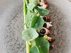 章鱼脚-BOR Eatery(安福路店)