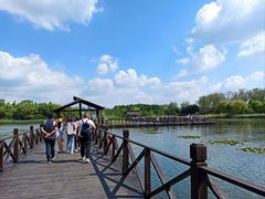 -溱湖国家湿地公园