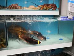 -盒马鲜生(大成店)