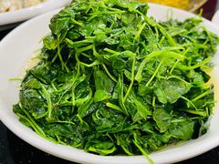 -张桥杨记羊肉饭店