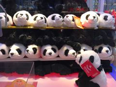 -汤姆熊欢乐世界(光启城店)