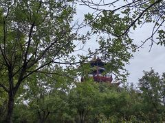 -南大港湿地风景区
