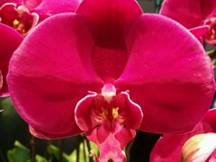 android_upload_pic-黔蘑菇四季餐厅(观山湖店)