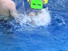 -尼莫亲子游泳NEMOSWIM(西美中心)