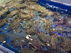 -澜悦港海鲜体验主题餐厅