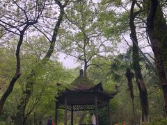 -岳麓山风景名胜区