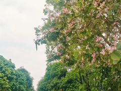 -凤岭儿童公园