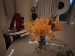 -魏家凉皮(梨园店)