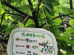-金豆子幼稚园