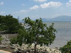 -深圳湾公园(南山区)